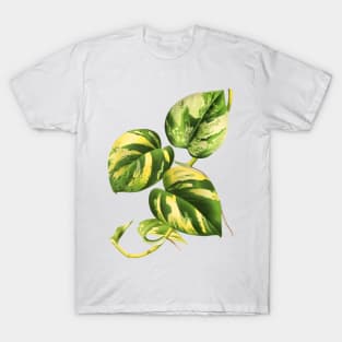 Golden Pothos - L’ Illustration horticole - Botanical Illustration T-Shirt